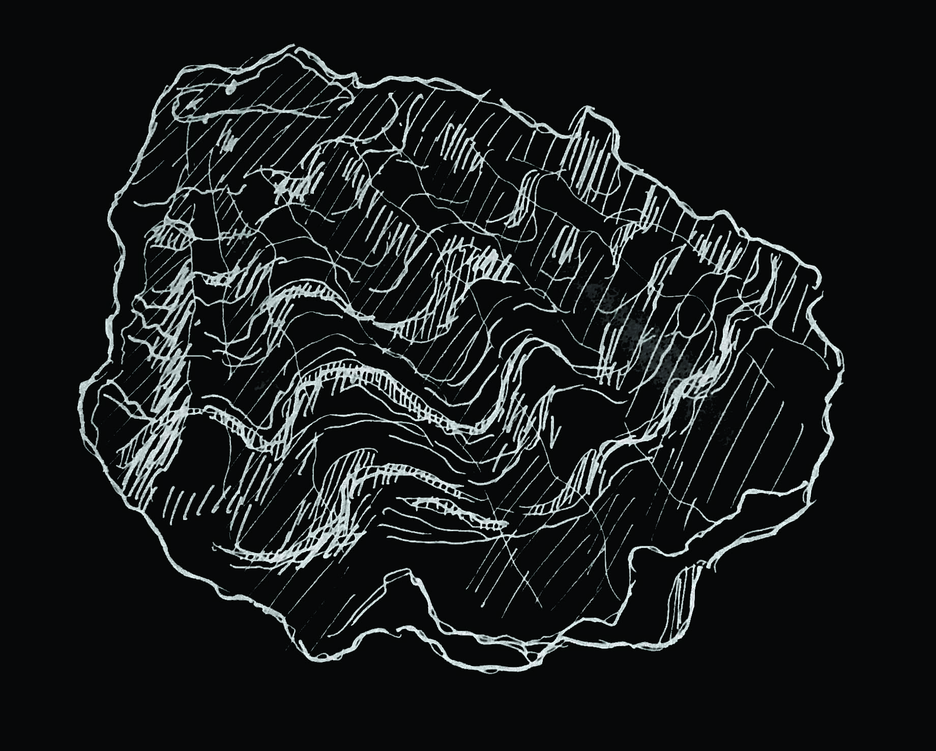 Archival Image 8