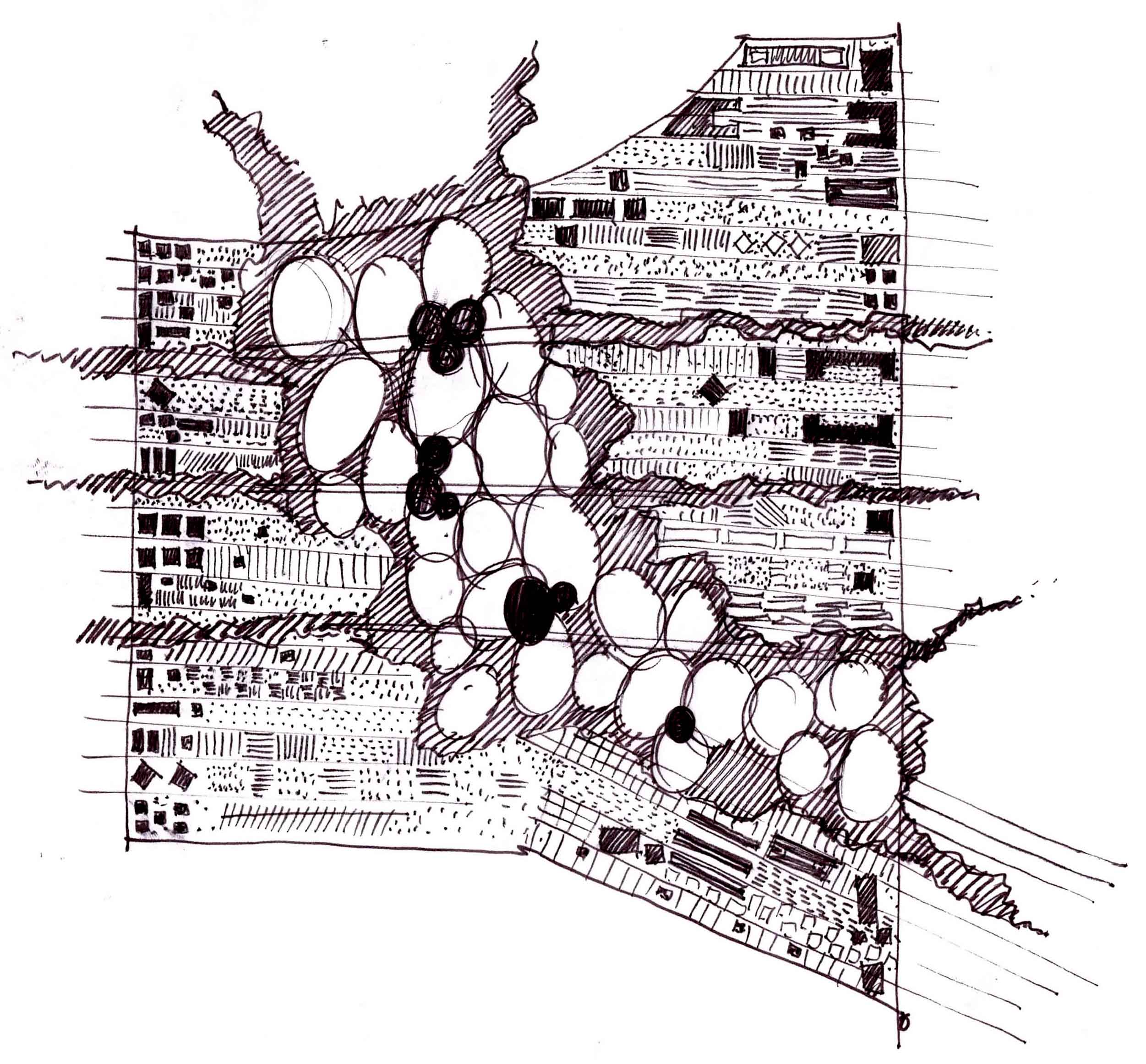 Archival Image 14